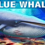 Indian student death America suspected related dangerous online game Blue Whale know what this how taking people's lives