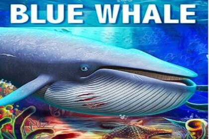 Indian student death America suspected related dangerous online game Blue Whale know what this how taking people's lives