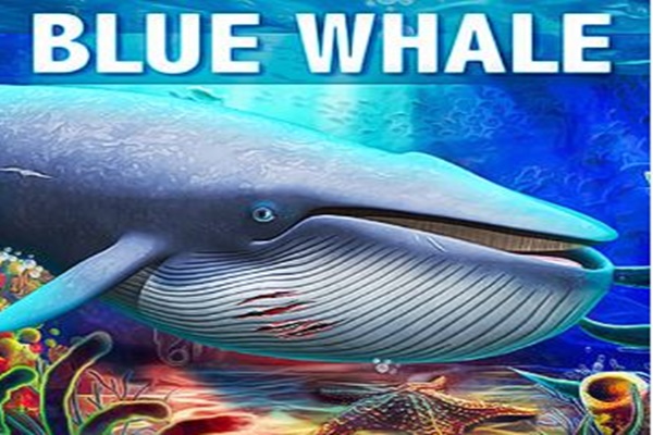 Indian student death America suspected related dangerous online game Blue Whale know what this how taking people's lives