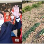 Why did green onion become an election issue in South Korea's parliamentary elections know the entire controversy and reason for the protest
