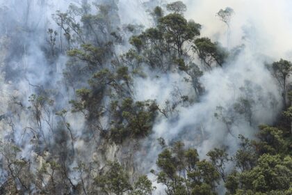 The fire in the forests of Uttarakhand is taking a severe form.