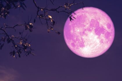 pink moon