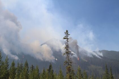 How did fire break out in Canadian forest british columbia alberta due to which 3600 people had to leave their homes