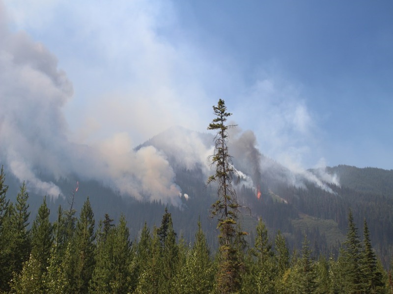 How did fire break out in Canadian forest british columbia alberta due to which 3600 people had to leave their homes