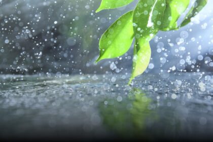 How many types of monsoon are there, how does it affect industries?