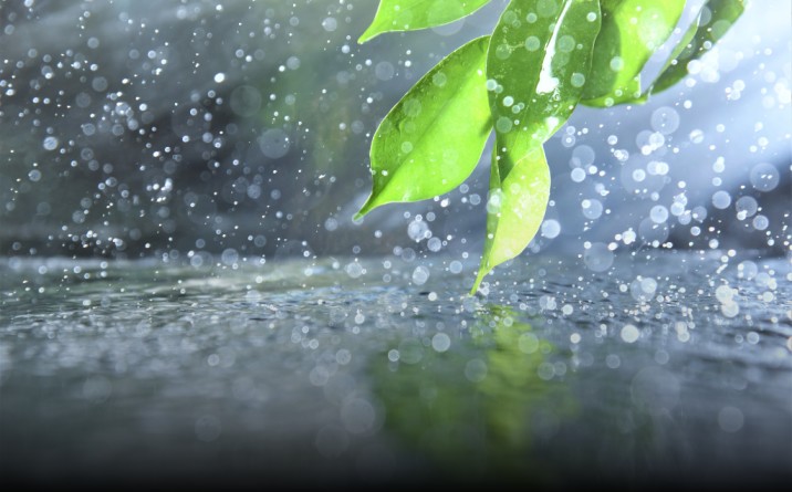 How many types of monsoon are there, how does it affect industries?