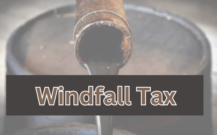 विंडफॉल टैक्स क्या है, what is windfall taxes, tax windfall,