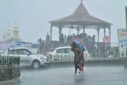 10 people lost their lives due to lightning in Bihar CM Nitish Kumar announced compensation