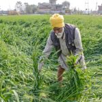 government can increase amount of PM Kisan Samman Nidhi in Budget 2024 Agriculture experts demanded