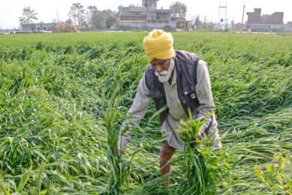 government can increase amount of PM Kisan Samman Nidhi in Budget 2024 Agriculture experts demanded