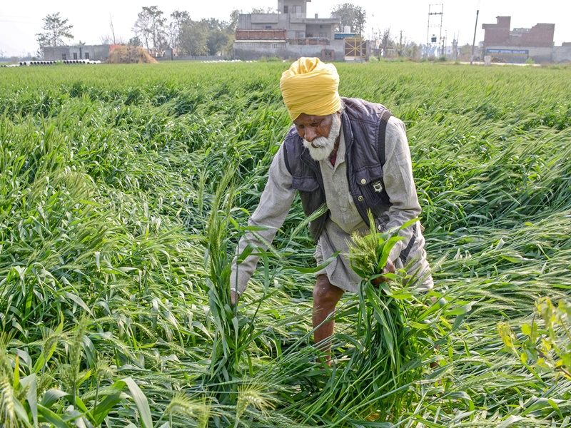 government can increase amount of PM Kisan Samman Nidhi in Budget 2024 Agriculture experts demanded