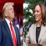 Is Kamala Harris Indian or black White House responded to controversy over donald Trump latest comment usa president election 2024