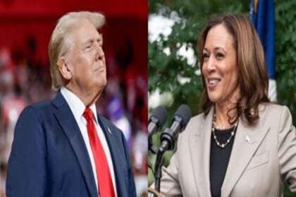 Is Kamala Harris Indian or black White House responded to controversy over donald Trump latest comment usa president election 2024