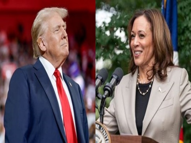 Is Kamala Harris Indian or black White House responded to controversy over donald Trump latest comment usa president election 2024