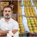 Pakistan sent mangoes to 7 leaders including Rahul Gandhi Union minister Giriraj Singh said this