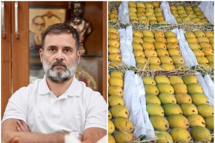 Pakistan sent mangoes to 7 leaders including Rahul Gandhi Union minister Giriraj Singh said this