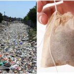 Single use plastic banned in Meghalaya How big a problem is the use of plastic all over India