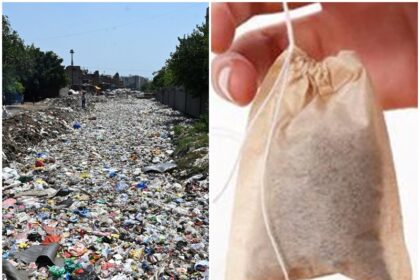 Single use plastic banned in Meghalaya How big a problem is the use of plastic all over India