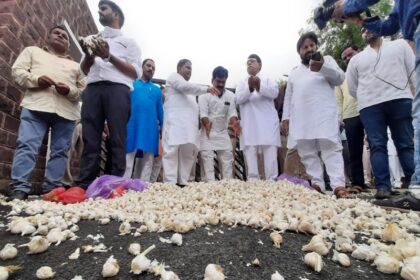 Lucknow High Court orders investigation of Chinese garlic summons investigation report within 15 days