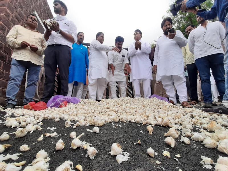 Lucknow High Court orders investigation of Chinese garlic summons investigation report within 15 days