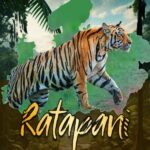 Madhya Pradesh, Ratapani Sanctuary, Ratapani Sanctuary Declared Tiger Reserve,