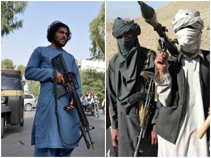 What is Tehreek-e-Taliban Pakistan what is TTP objective and why does Pakistan want to eliminate it