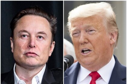 Why are there differences between supporters of Elon Musk and Donald Trump regarding immigration policy in America