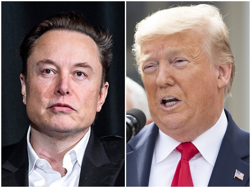 Why are there differences between supporters of Elon Musk and Donald Trump regarding immigration policy in America