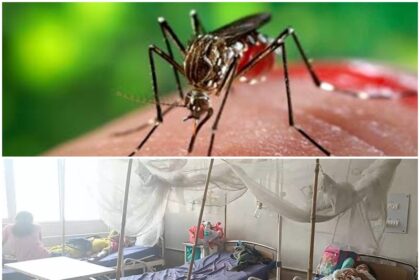 Malaria cases reduced from 7.5 crore to 20 lakh from 1947 to 2023 India will be free by 2030 - Health Ministry claims