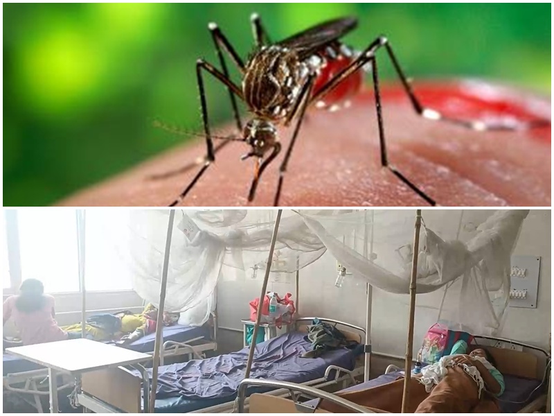 Malaria cases reduced from 7.5 crore to 20 lakh from 1947 to 2023 India will be free by 2030 - Health Ministry claims