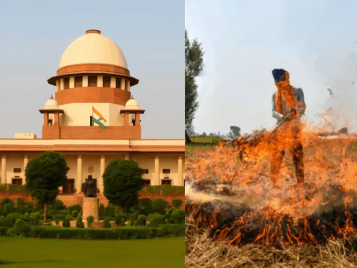 supreme court ask punjab haryana about action on stubble burning next hearing 17 nov, सुप्रीम कोर्ट